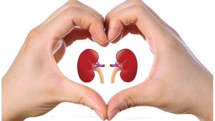 Beberapa kebiasaan dibawah ini dapat merusak ginjal loh, Apa aja sih?